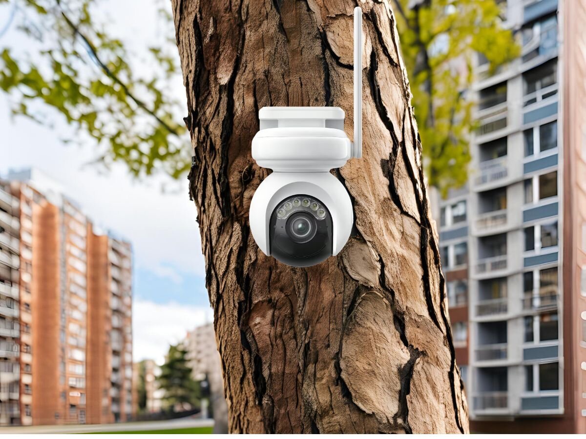 Reolink B660 - kamera zamontowana na drzewie