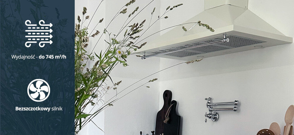 Okap VESTFROST VE-90RSABG Beżowy wizualizacja ikona okap na ścianie dekoracje deski do krojenia roślina Wydajność do 745 m³/h wydajny bezszczotkowy silnik usuwanie zapachów tłuszczu pary wodnej