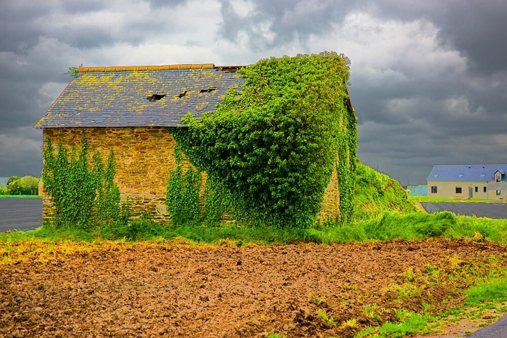 Obiektyw SIGMA EX 70-200mm f-2.8 APO DG  mocowanie przysłona zdjęcia 