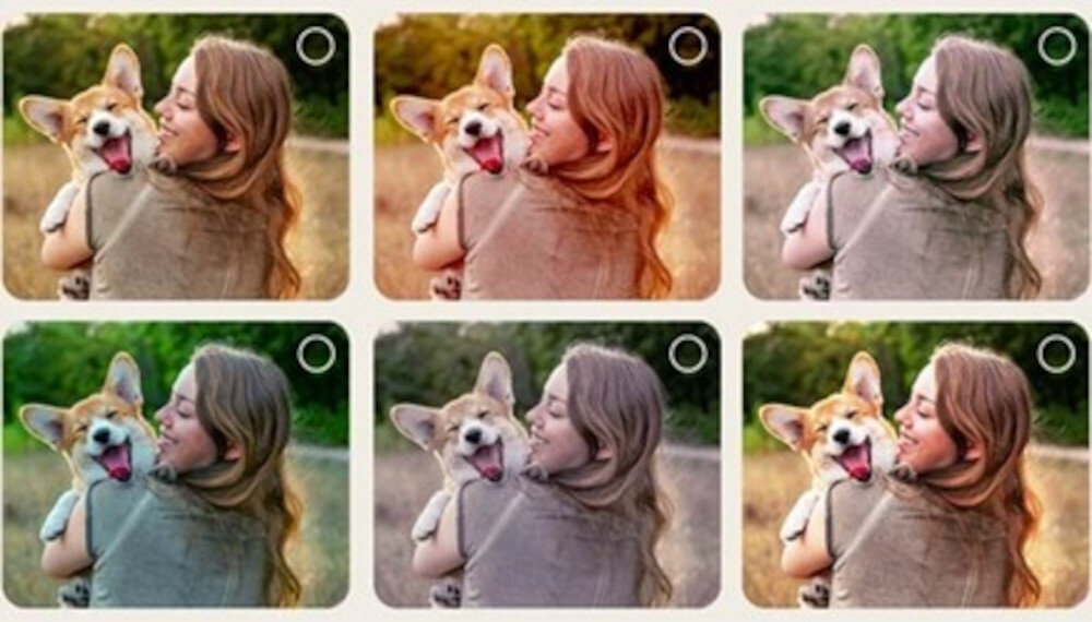 Telewizor LG 55UA75006LA UHD 4K α7 AI Gen8 AI Picture Wizard personalizacja obrazu pod preferencje, 6 opcji obrazu, kobieta z psem na rękach