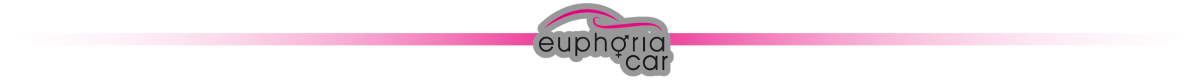 Logo przedstawia stylizowany kształt samochodu z napisem \'euphoria car\' na tle różowego gradientu.