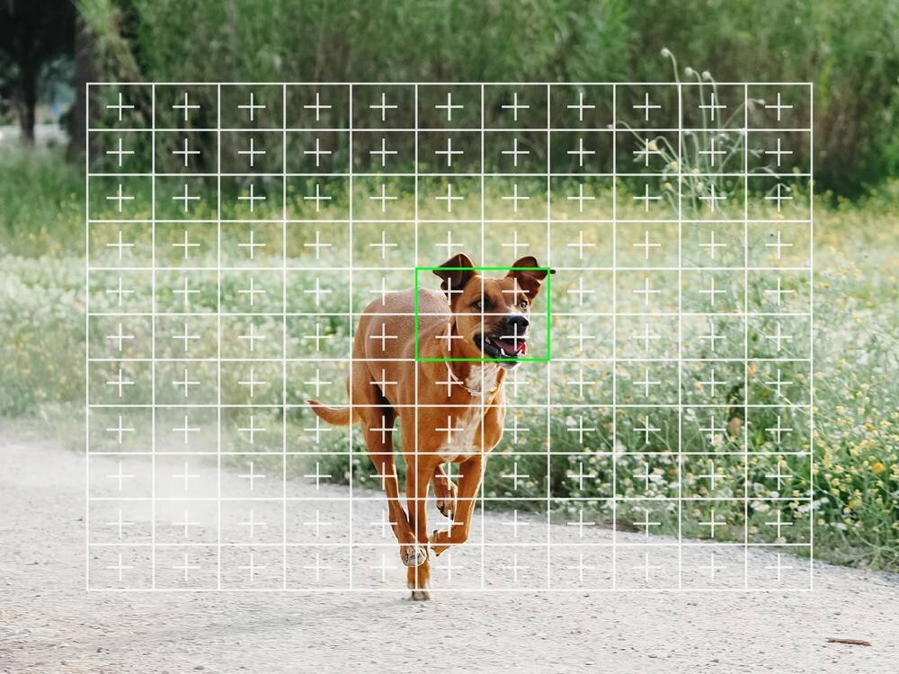 Aparat OLYMPUS OM-5 Mark II 121 punktów AF szybki autofokus precyzyjne zdjęcia