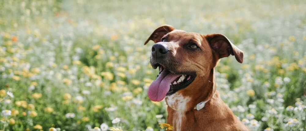 Aparat OLYMPUS OM-5 Mark II HDR krajobrazy światło cienie naturalne kolory