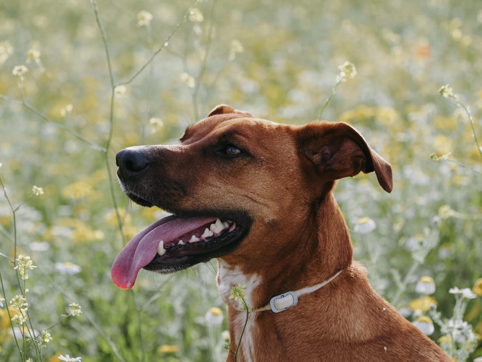 Aparat OLYMPUS OM-5 Mark II HighRes Shot 80MP zdjęcia krajobrazy detale