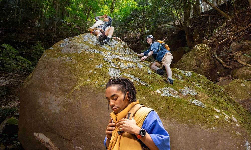 Smartwatch GARMIN Instinct 3   opis