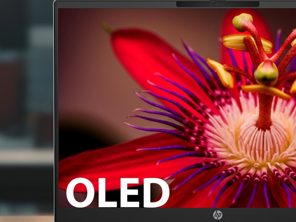 Ekran OLED laptopa HP OmniBook wyświetlający kolorowy kwiat z czerwonymi i fioletowymi płatkami - 14-calowy wyświetlacz OLED 3K