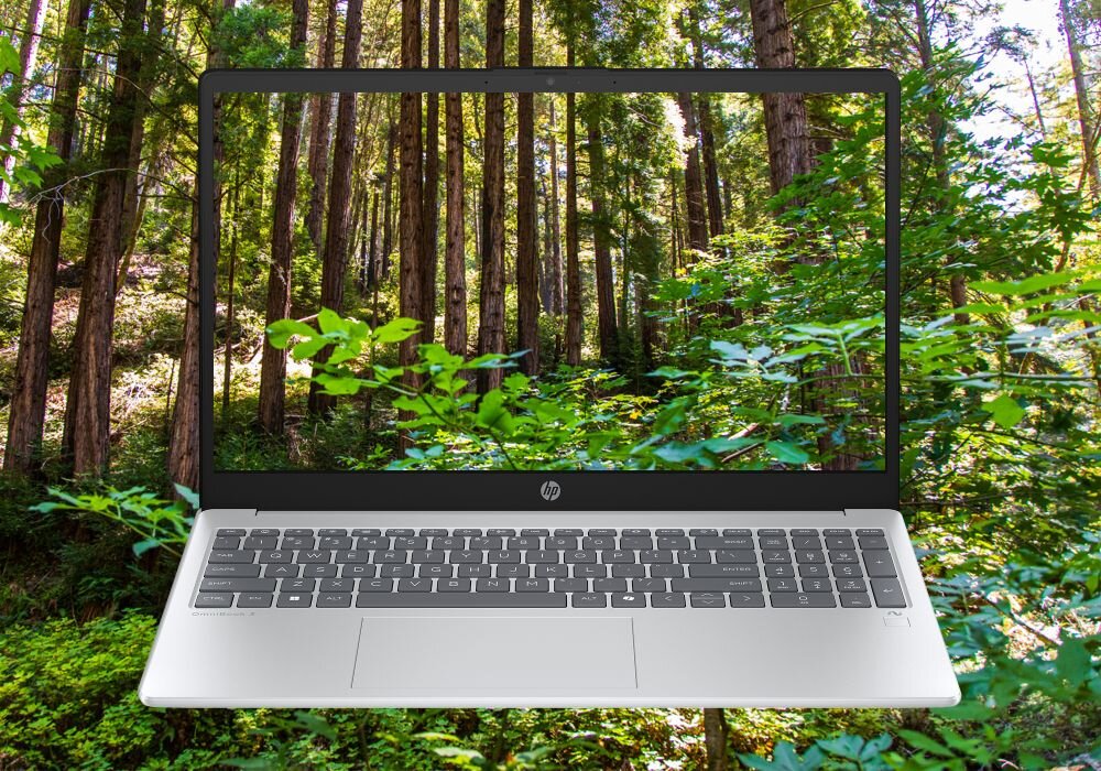 Laptop z widocznym logo HP na obudowie, na ekranie wyświetlany jest obraz lasu z wysokimi drzewami i zielonymi liśćmi.