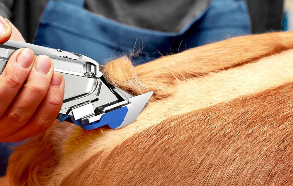 Maszynka do strzyżenia zwierząt ONEISALL RFC-676 PRO Strzyżenie zwierząt w domu wygląd design prezentacja wizualizacja