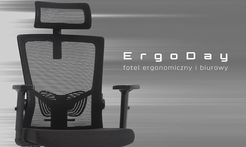 Fotel GAMVIS ErgoDay Czarny prezentacja fotela od przodu na szarym tle napis z modelem i przeznaczeniem