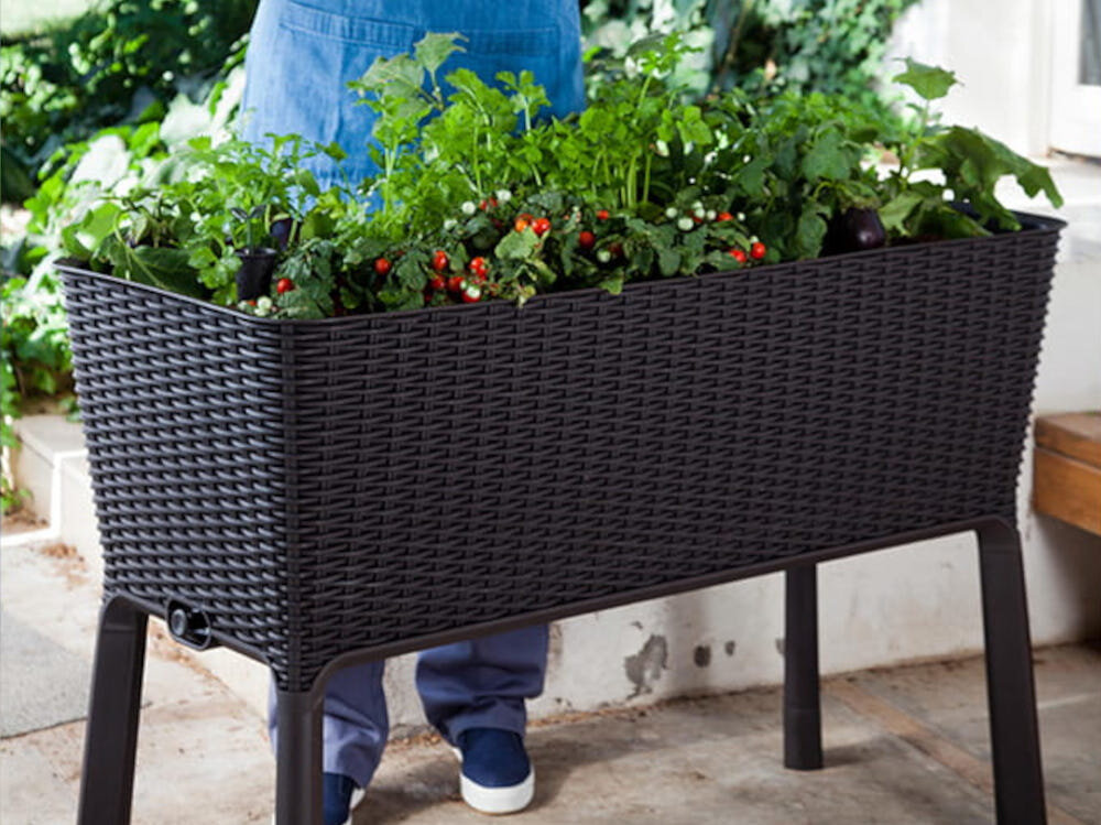 Donica KETER Easy Grow 230297 120 L Brązowy donica wypełniona roślinami ustwaiona na podłodze wygodna uprawa roślin pielęgnacja roślin komfortowa pielęgnacja kwiatów ziół i warzyw