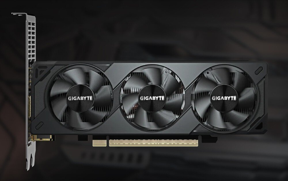 Karta graficzna GIGABYTE GeForce RTX 5050 Low Profile OC 8GB Widok od frontu na niskoprofilową kartę graficzną z trzema czarnymi wentylatorami i metalowym wspornikiem