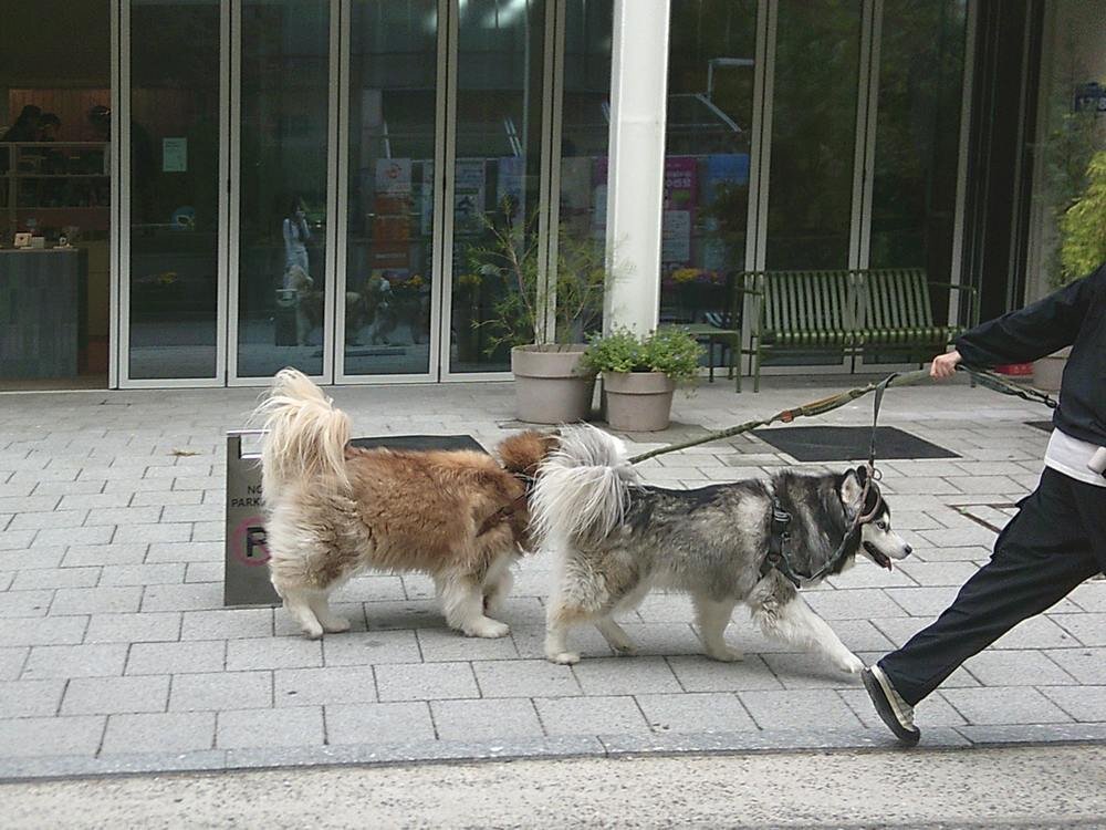 Aparat cyfrowy YASHICA DigiPix 100 lekki przenośny idealny do podróży