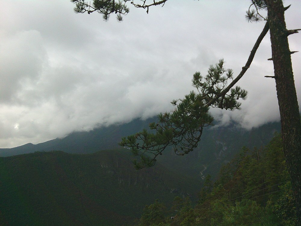 Aparat cyfrowy YASHICA DigiPix 100 dla młodzieży kreatywna fotografia łatwy w użyciu