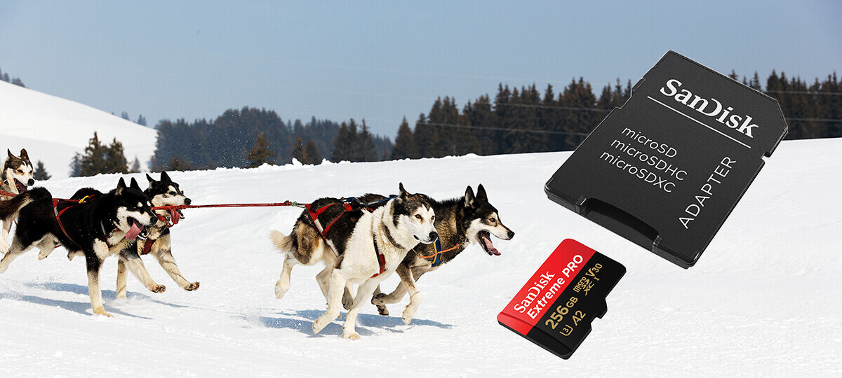 karta sandisk zdjecie lifestyle