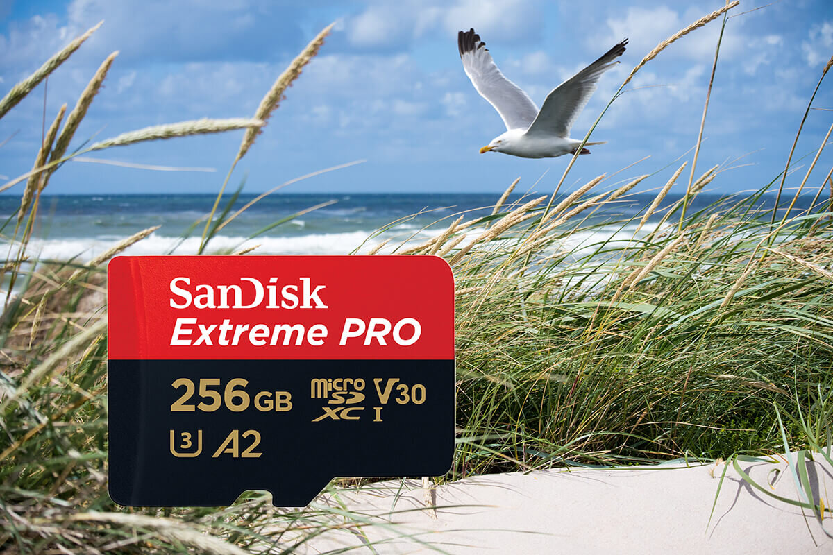 karta sandisk zdjecie lifestyle