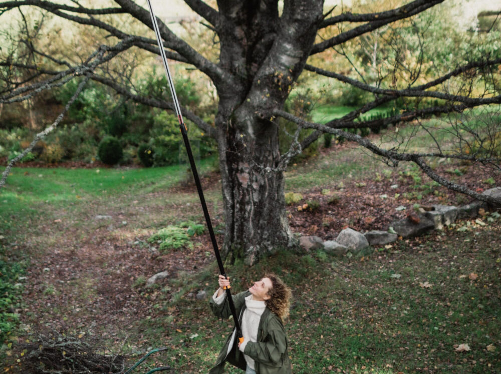 Sekator teleskopowy FISKARS Żyrafa PowerGear X UPX86 sekator teleskopowy zasięg wysokie niskie gałęzie szlifowane ostrze 