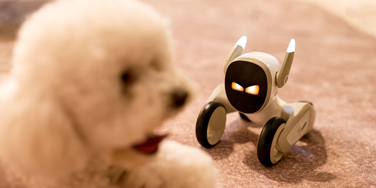 Zabawka interaktywna KEYI TECH Robot Loona Premium Edition KY004LN01 robot patrzący z podejrzliwością na pieska