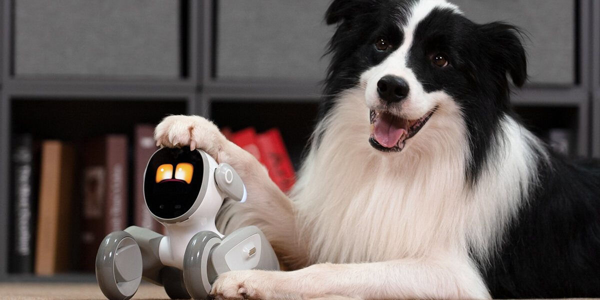 Zabawka interaktywna KEYI TECH Robot Loona Premium Edition KY004LN01 piesek z łapą na głowie robota, robot patrzący w górę