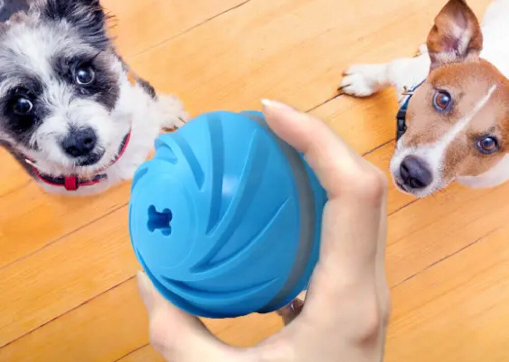 Zabawka DOGGY VILLAGE Frantic Orb MT7105 Dla Twojego pupila wygląd prezentacja design wizualizacja lifestyle