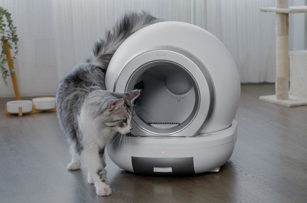 Kuweta dla kota CECOTEC Pumba 7000 CleanKitty Compact Connected wygląd wizualizacja prezentacja design tło Komfort na co dzień