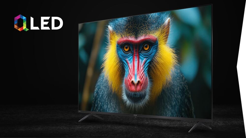 Telewizor SHARP 55HM5745E QLED Quantum Dot szeroka gama kolorów, telewizor po skosie na czarnym tle