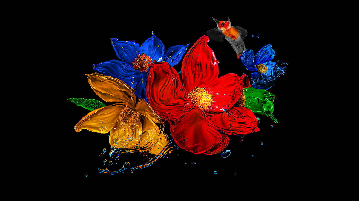 Telewizor TCL 55C69K  - Kolory, które zachwycają, kwiaty namalowane farbą, żywe kolory