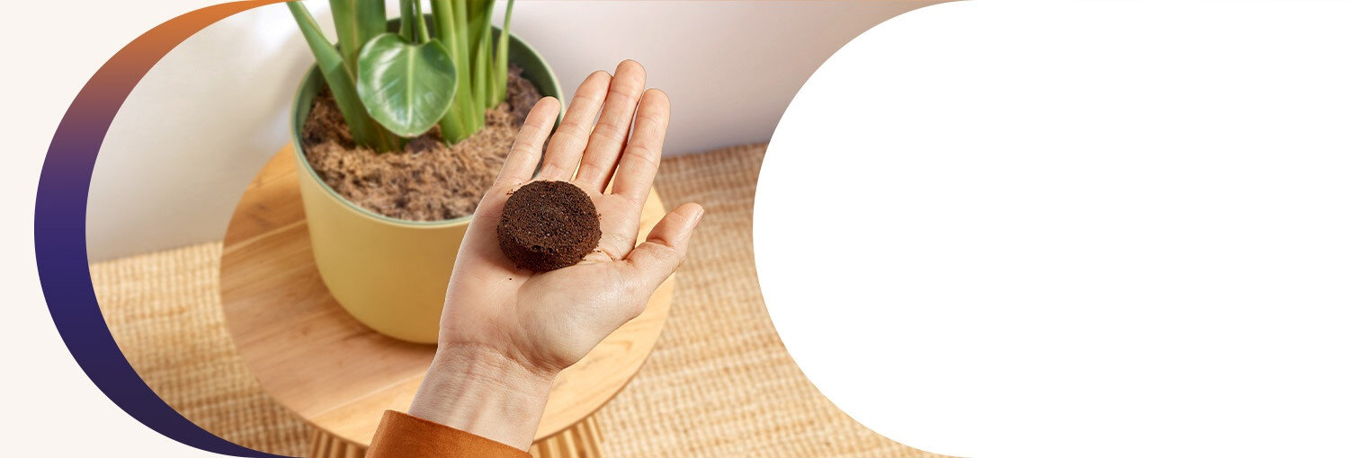 fusy po kawie możesz kompostować