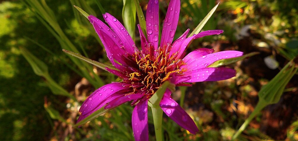 Aparat KODAK AZ528 rozdzielczość bateria stabilizacja zoom af przysłona obiektyw makro ogniskowa 