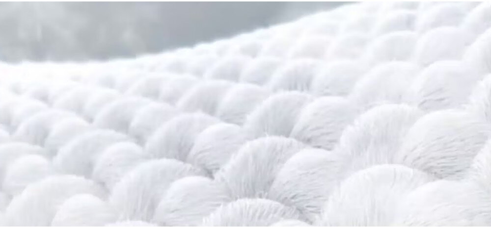 PRALKA LG F4X5509THB Zbliżenie na miękką, białą tkaninę ukazaną w dużym powiększeniu, gdzie pojedyncze włókna tworzą puszyste „poduszeczki”. Ujęcie ma sugerować delikatną pielęgnację materiału oraz ochronę struktury włókien podczas prania