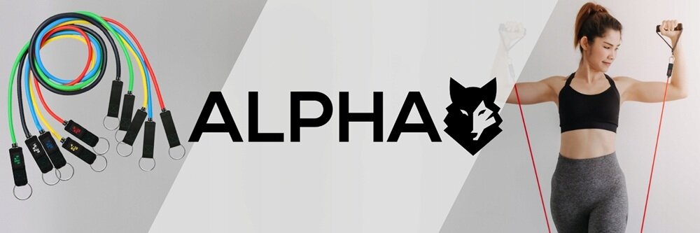 Zestaw gum do ćwiczeń ALPHA XPB-01 kv początek opisu