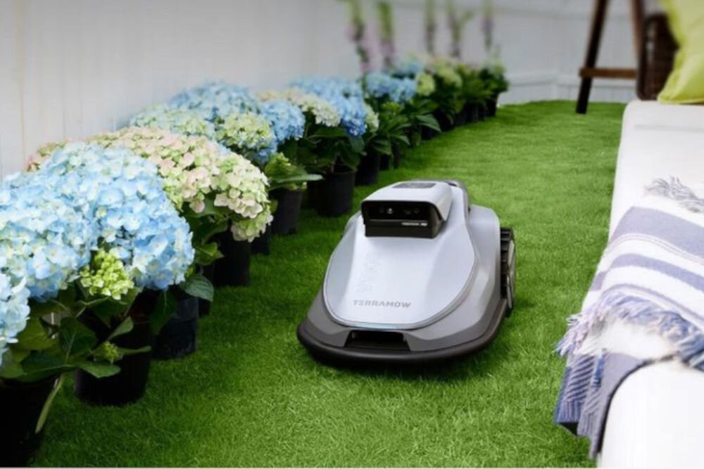 Robot koszący TERRAMOW V600 Bez przewodu ograniczającego Bluetooth/Wi-Fi 600 m2, koła, darń, trawnik, robot, Robot koszący przejeżdżający obok kwitnących hortensji.   