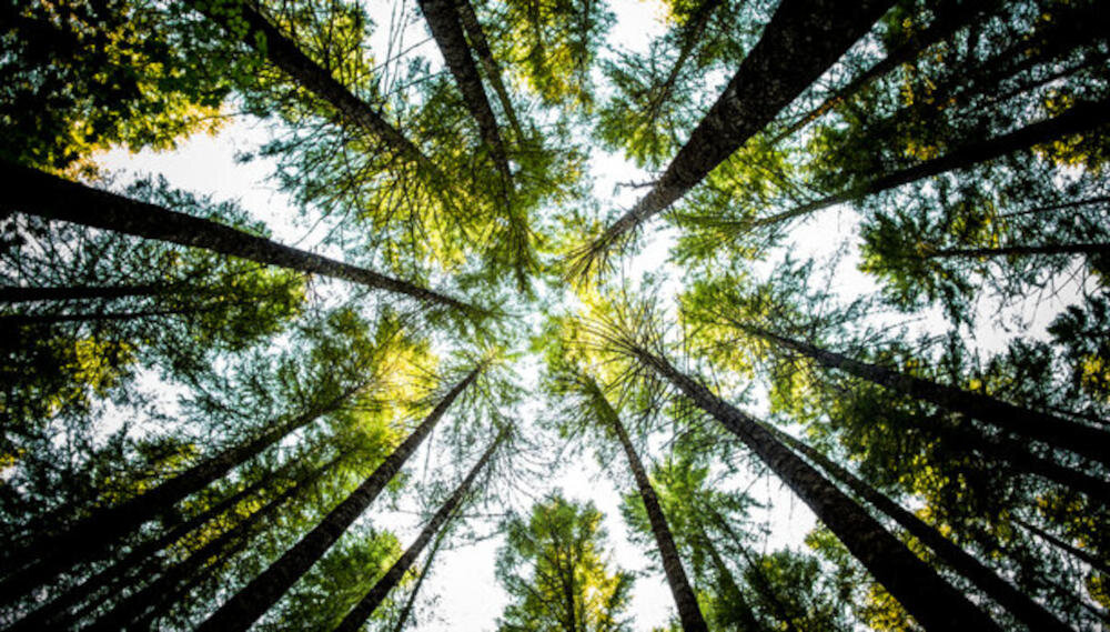 TEKA HLC 8510 P BK ekologia