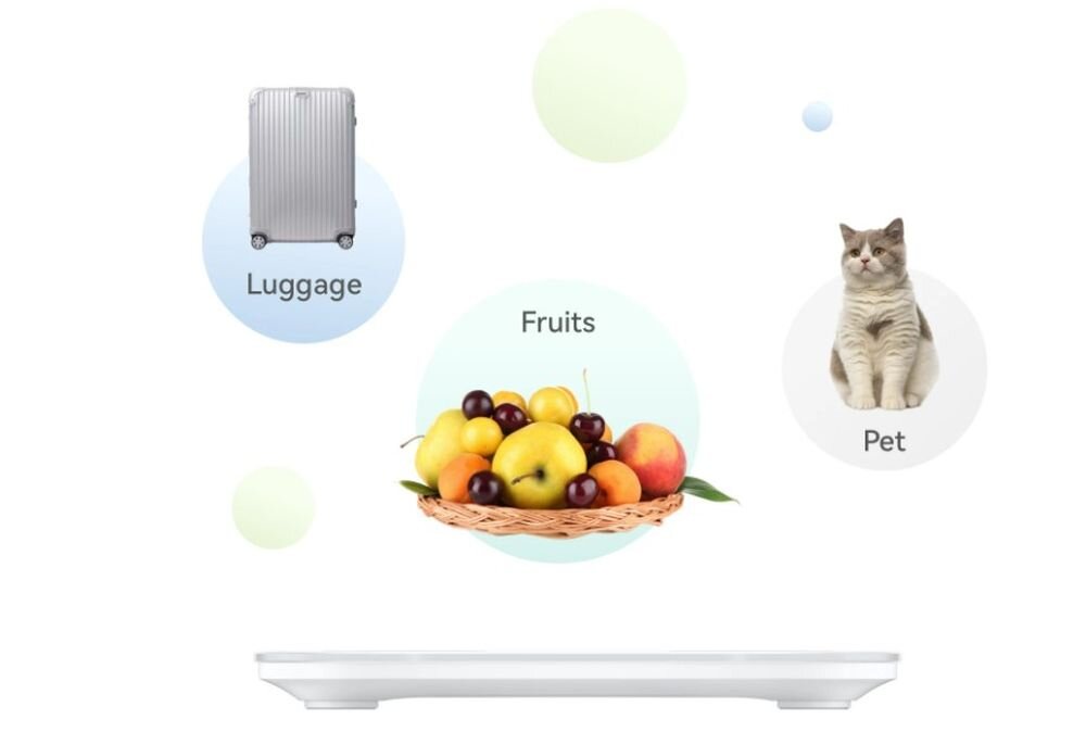 Obraz przedstawia walizkę z podpisem \'Luggage\', kosz z owocami z podpisem \'Fruits\' oraz kota z podpisem \'Pet\'. Na dole widoczna jest biała powierzchnia, prawdopodobnie waga łazienkowa.