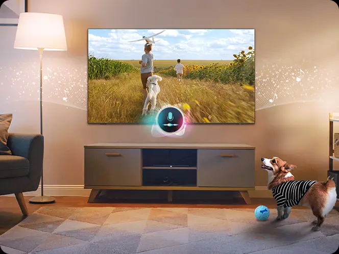 W salonie na ścianie wisi duży telewizor, na którym wyświetlany jest obraz przedstawiający dwie osoby i psa biegnących przez pole. Obok telewizora stoi lampa, a na podłodze bawi się pies w pasiastym ubranku z niebieską piłką.