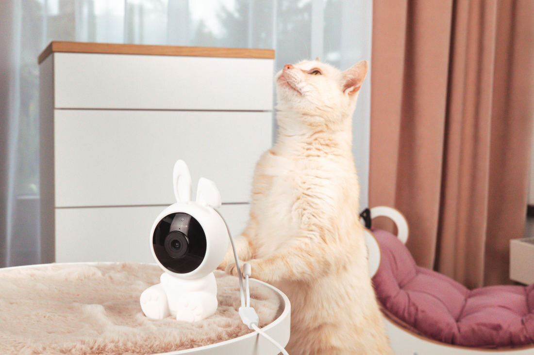 Niania elektroniczna INNOGIO GIOsafety GIO-251 Rabbit