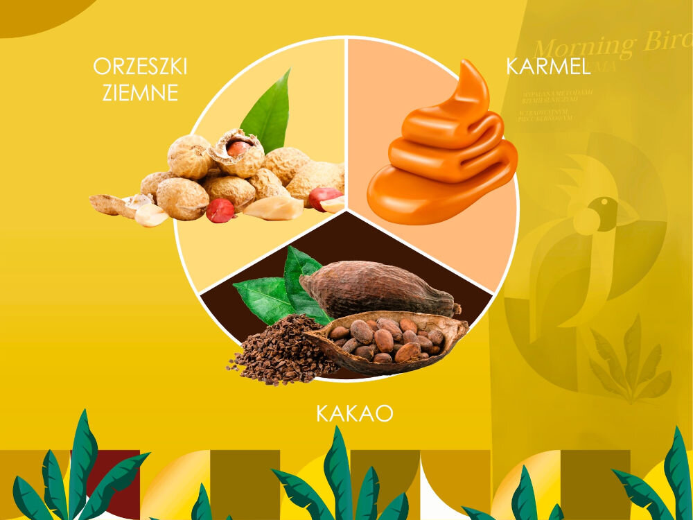 Kapsułki MORNING BIRD Cafe Crema 10 szt. na żółtym tle koło podzielone na trzy z wizerunkiem orzeszków ziemnych karmel kakao