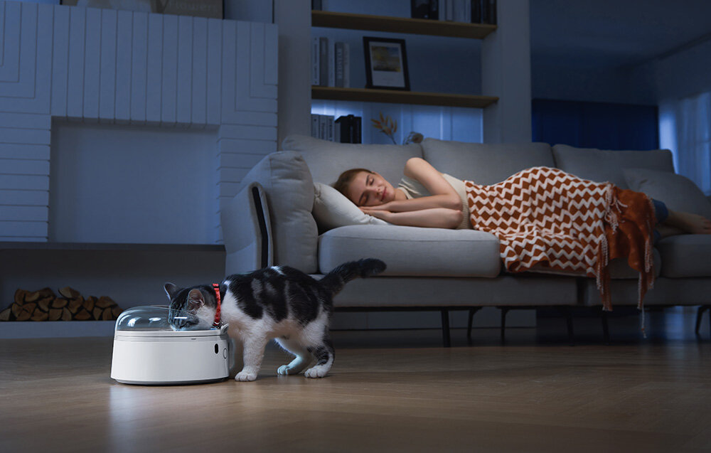 Dozownik karmy automatyczny CATLINK F03 Standard kobieta śpi na kanapie kot je posiłek z białego dozownika estetyczny wygląd kompaktowe wymiary 240 x 240 x 155 mm różne tryby pracy specjalny program treningowy tryb nocny cicha praca na poziomie 40 dB antypoślizgowe maty solidna obudowa z bezpiecznego tworzywa ABS 