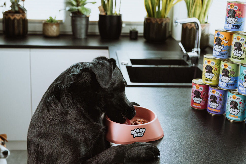 Karma dla psa DOBRY PIES Królik z jabłkiem i marchewką 400 g czarny pies opierający się o blat jedzący z miski w tle różne warianty karmy w puszkach