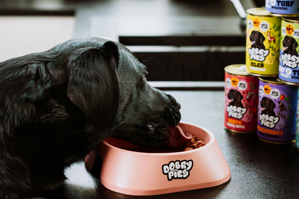 Karma dla psa DOBRY PIES Przepiórka z magno i kozieradką 400 g czarny pies jedzący z miski w tle kilka puszek karmy w różnych wariantach