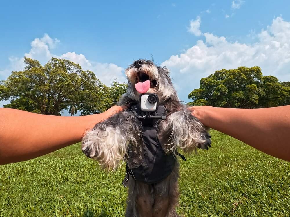 Kamera sportowa INSTA360 Go Ultra stabilizacja FlowState Horizon Lock płynny obraz