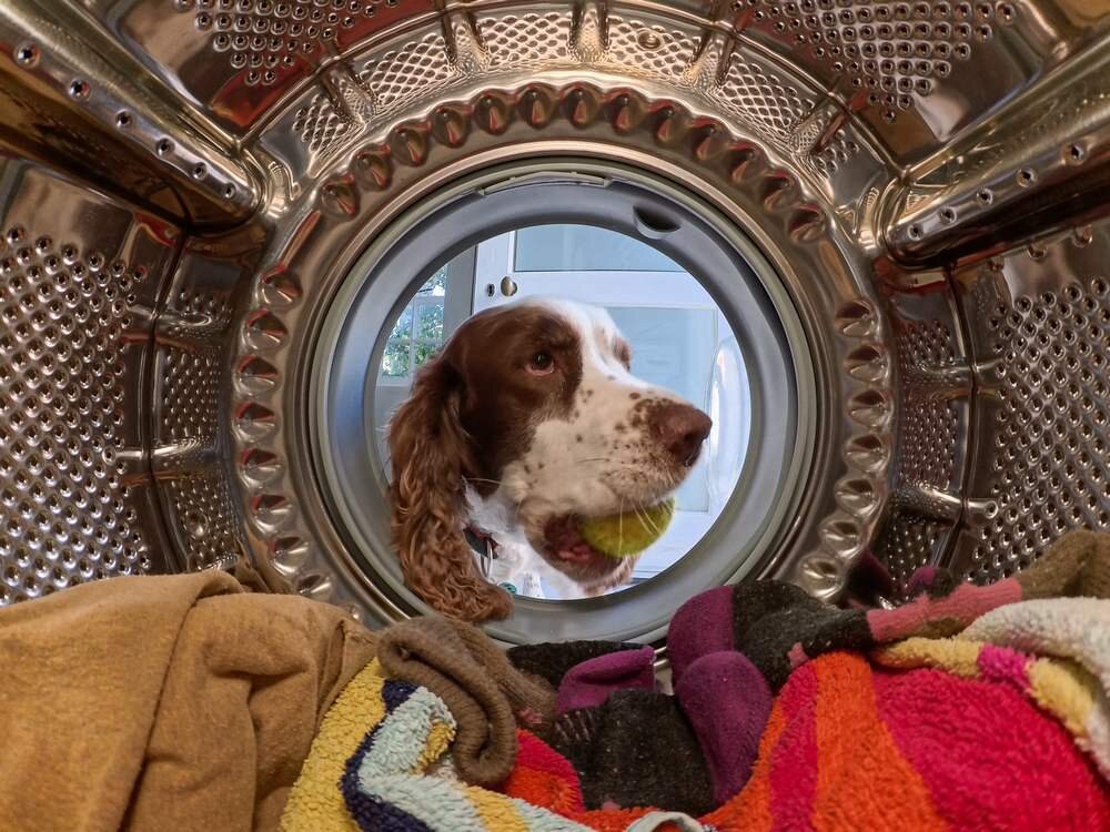 Kamera sportowa INSTA360 Go Ultra magnetyczny system mocowania kreatywne kadry