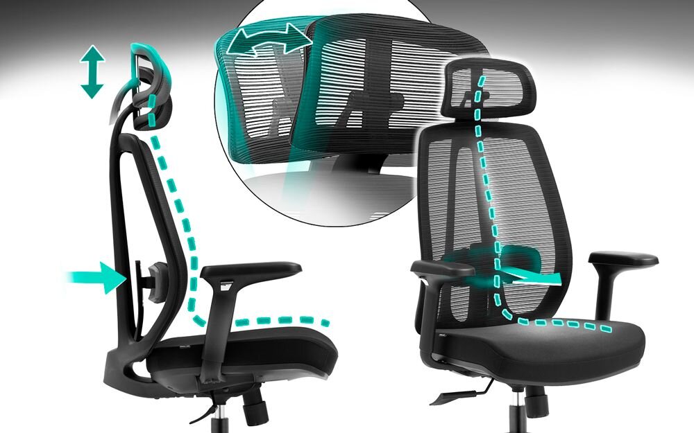 Fotel COBRA Office Plus HF504BK Czarny pokazanie możliwej regulacji i wsparcia dla kręgosłupa na białym tle wsparcie naturalnej krzywizny regulowane oparcie