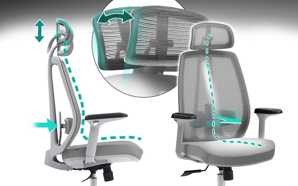 Fotel COBRA Office Plus HF505GY Szary
 pokazanie możliwej regulacji i wsparcia dla kręgosłupa na białym tle wsparcie naturalnej krzywizny regulowane oparcie