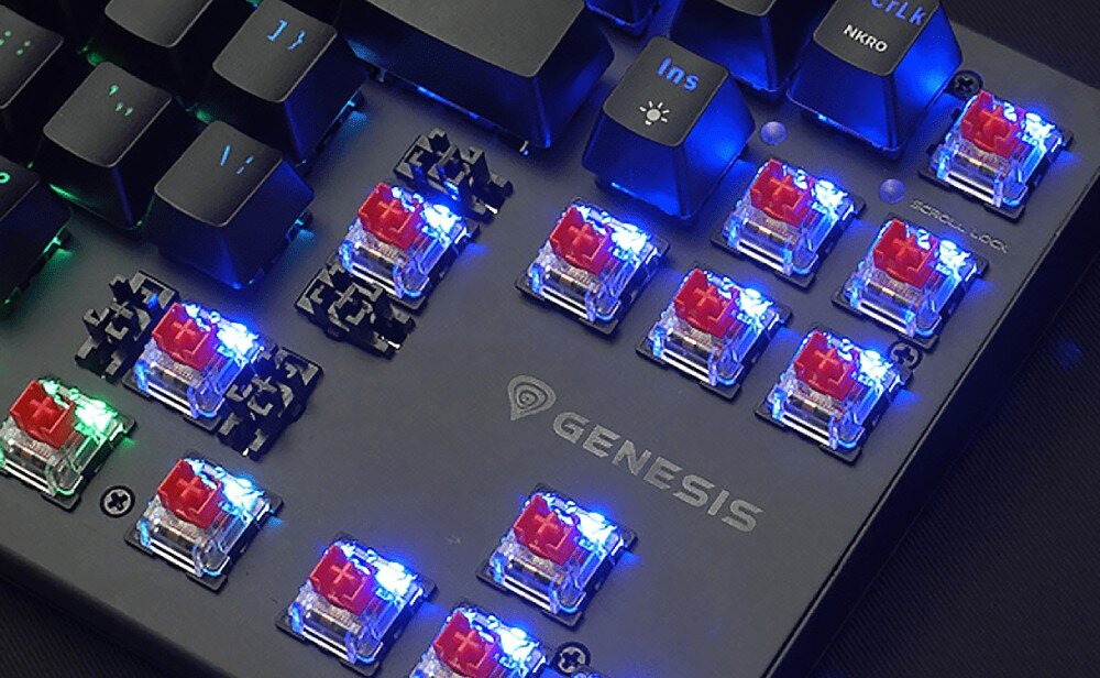 Klawiatura GENESIS Thor 303 TKL wygląd podświetlenie tryby
