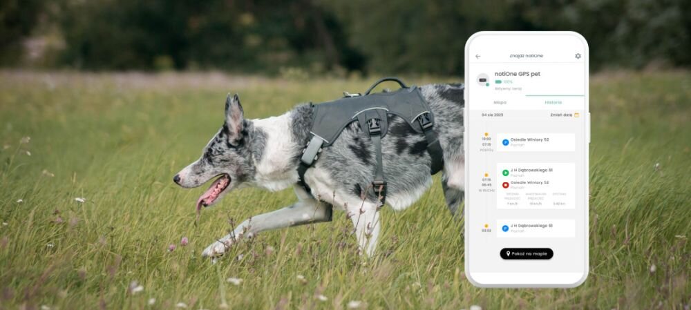 Powerbank AUKEY z portami USB‑C i USB‑A leży na stole konferencyjnym podczas mobilnego ładowania urządzeń w podróży służbowej  