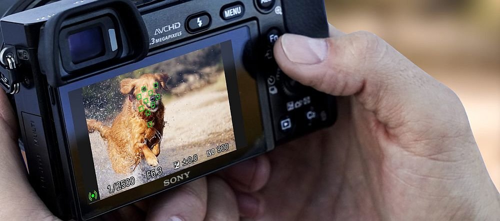 aparat sony alpha a6000 procesor