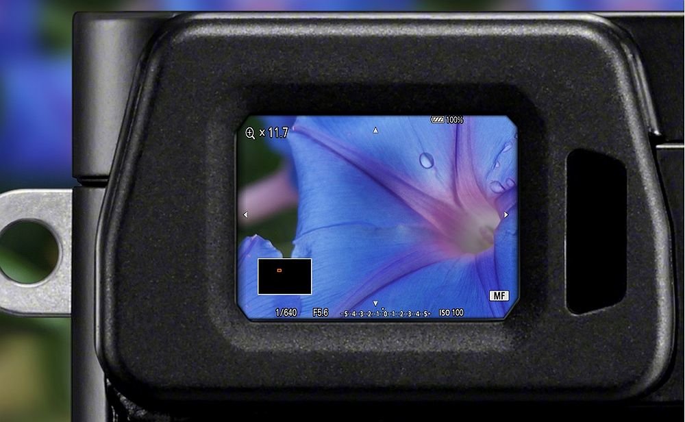 aparat sony alpha a6000 wizjer