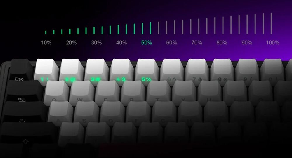 Na obrazie widoczna jest klawiatura z białymi i czarnymi klawiszami, z podświetleniem na niektórych klawiszach. Nad klawiaturą znajduje się skala procentowa od 10% do 100%, z wyróżnionym 50%.
