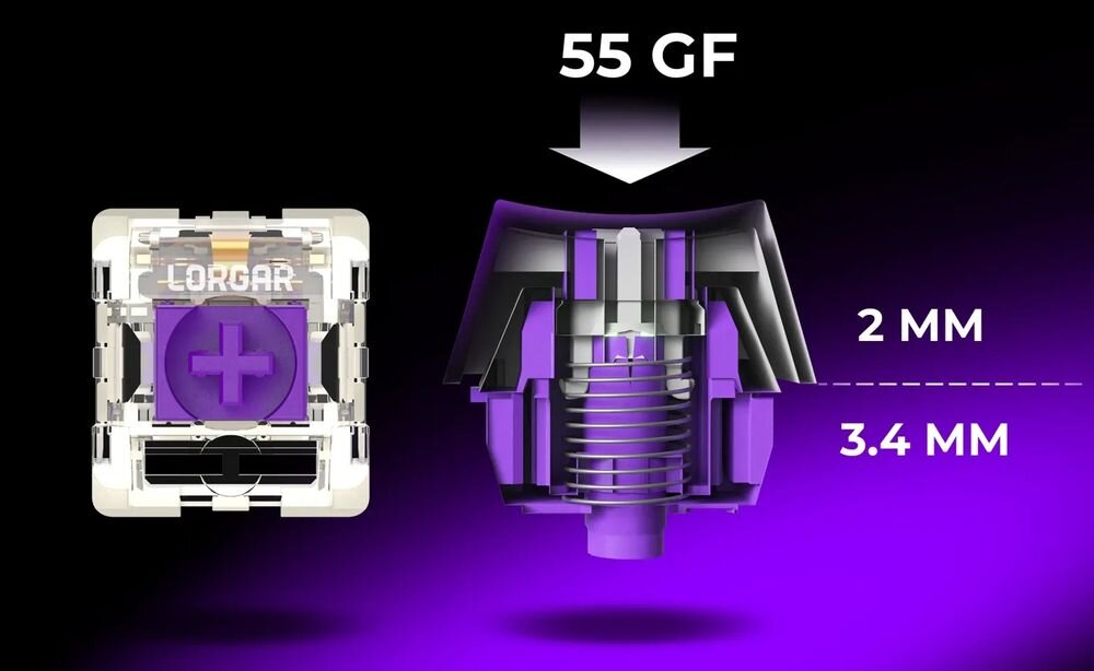 LORGAR KBP70TKLW cichym, fabrycznie nasmarowanym przełącznikom liniowym LORGAR™ Toxic Purple siłę aktywacji 55 gf Wytrzymałość do 50 milionów naciśnięć - przekrój przełącznika 