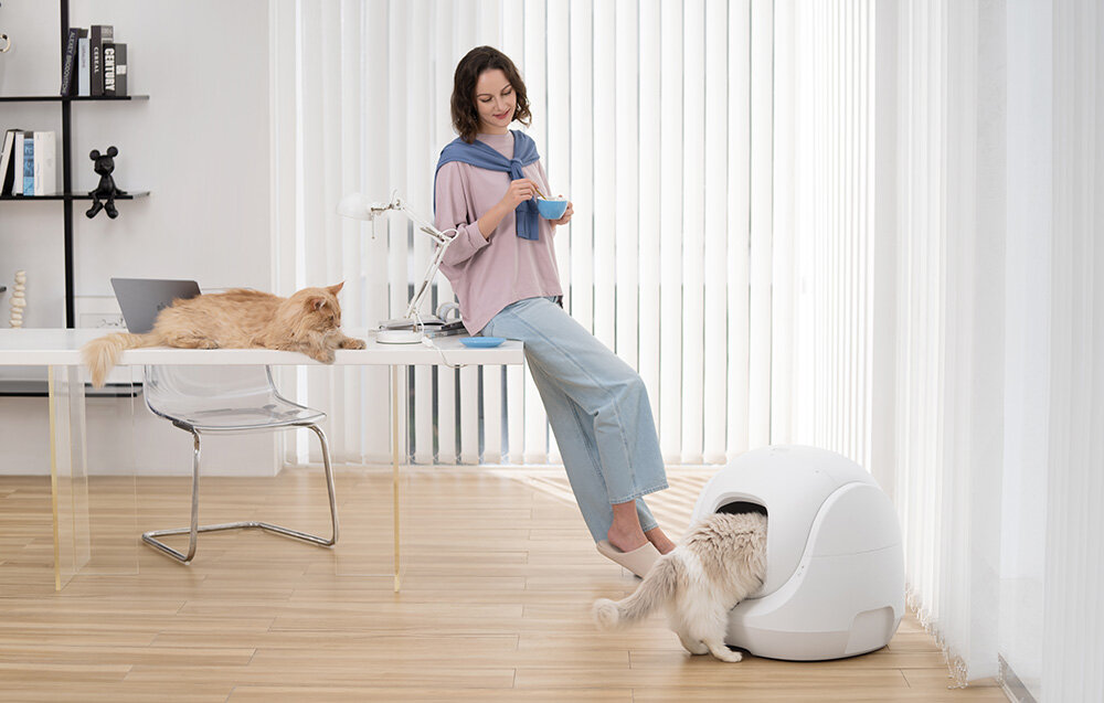 Inteligentna kuweta dla kota CATLINK Baymax Dla właścicieli kotów kobieta pije kawę jasny kot wchodzi do białej kuwety rudy kot leży na biurku